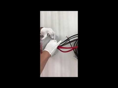 Ethernet slipring ECN000-21P-06S-01EG